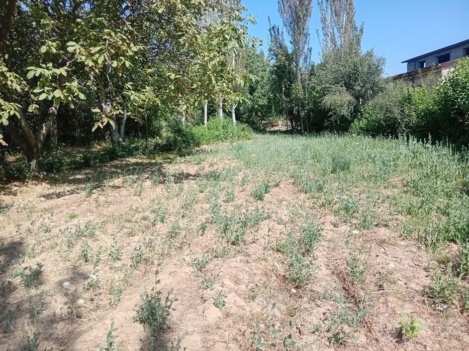 Продажа земли для дачи