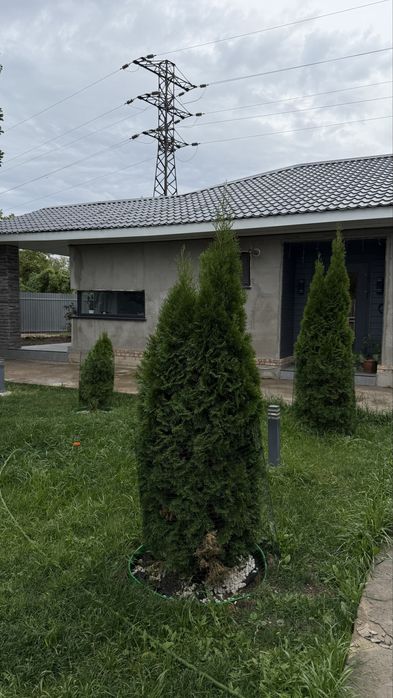 Продам дом в районе Ивушка