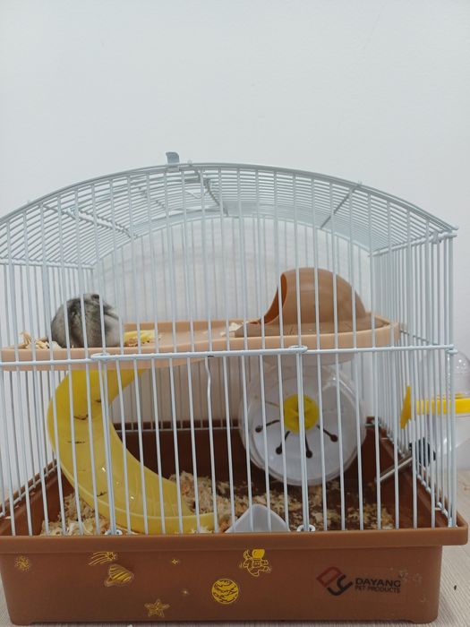 ХОМЯК сатылады уйімен