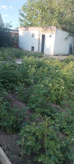 Продам дачу на баме г. Сатпаев