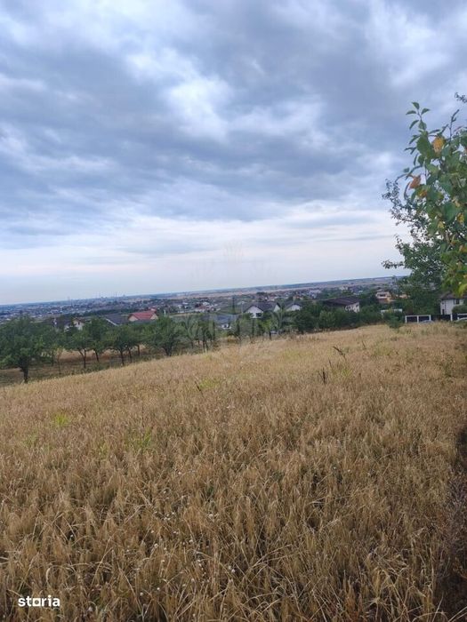 Teren Paulesti//10.000 Mp