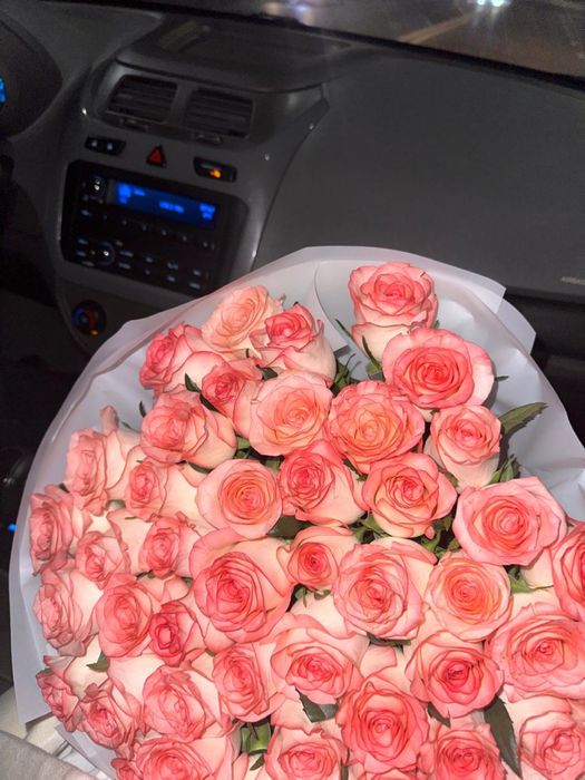 51 шт роза свежие