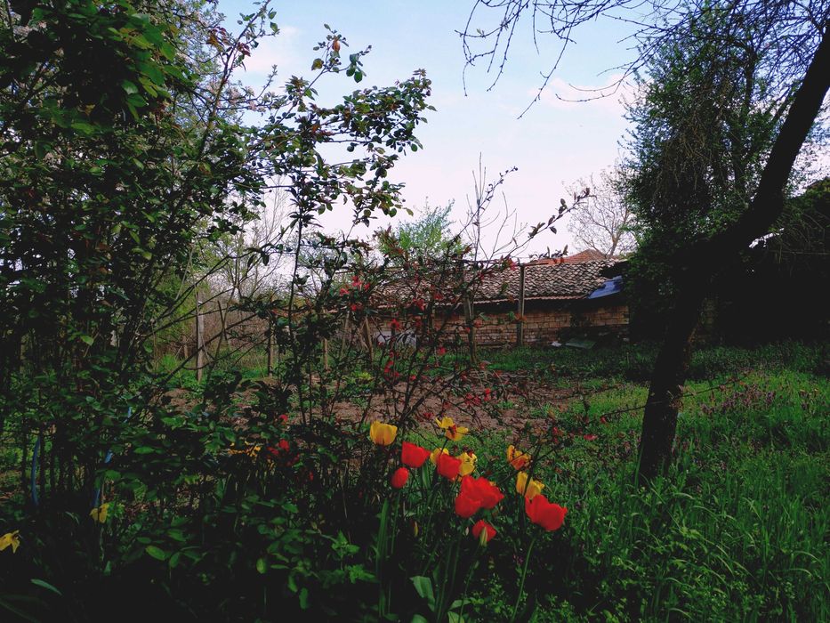 Продава се Къща в с. Славяново, Област Търговище - 100 кв.м за 128 €/кв.м - Снимка #6