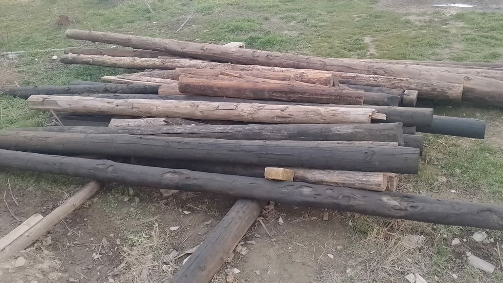 Агаштар сатылады келисимди багада