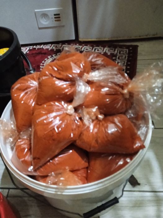 Boia de casa in Tritenii de jos