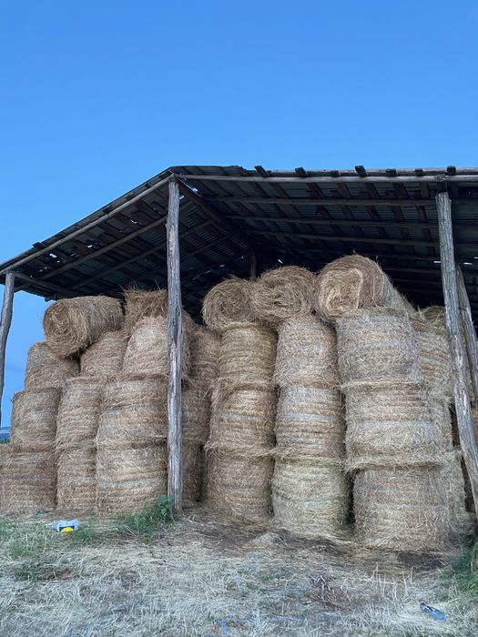 Vand baloti rotunzi lucerna/fan
