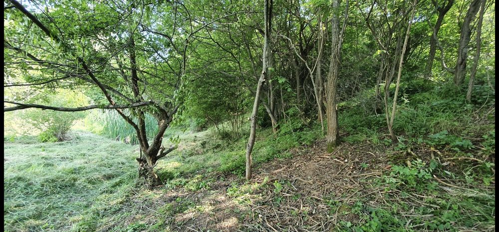 Продава се Парцел в с. Бистрица, Област София-град - 500 кв.м за 31 €/кв.м - Снимка #9