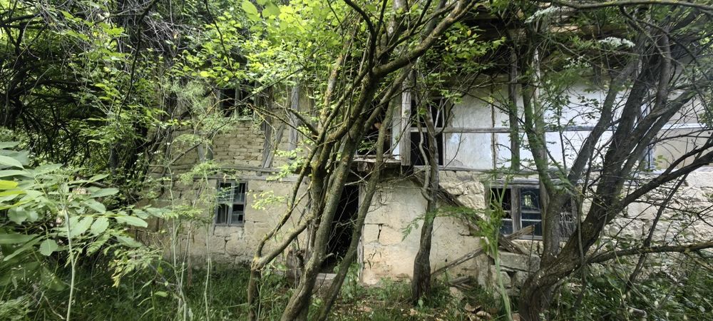 Къща с голям двор 3200 кв.м и река с. Новосел, обл. Шумен