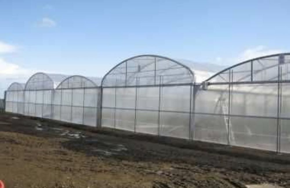 Теплицы из поликарбоната