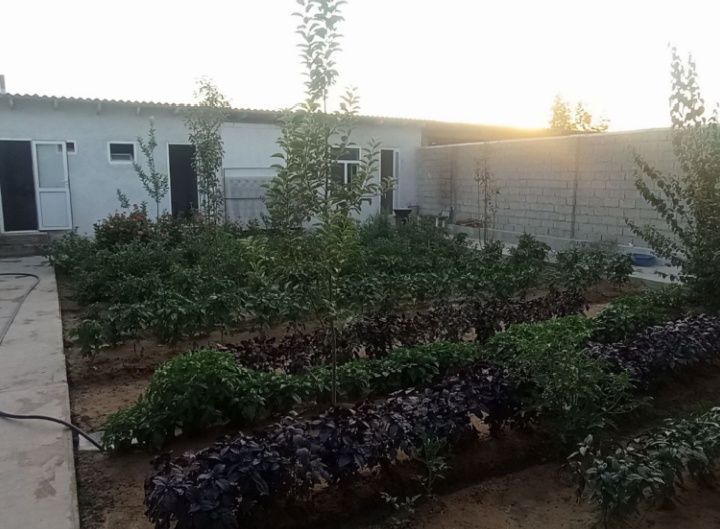 участок срочно тошкент шахар земля новый участок янги ташкент