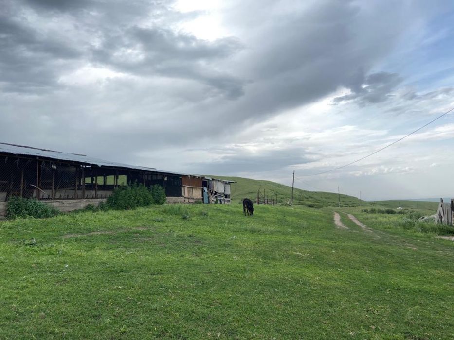 Фазенда, Кашар, Хозяйство