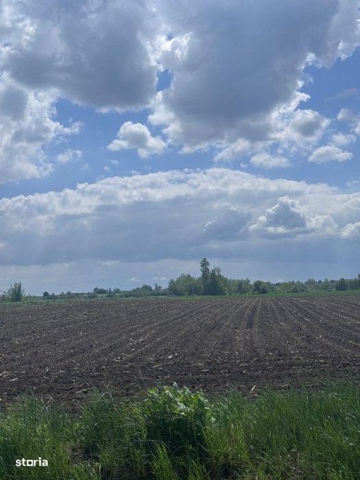 Teren extravilan, 7800mp, Burla