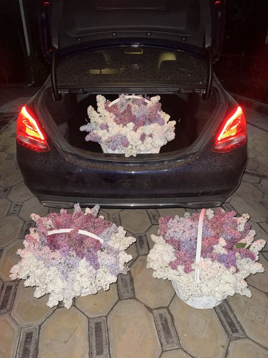 Сирены в корзинках