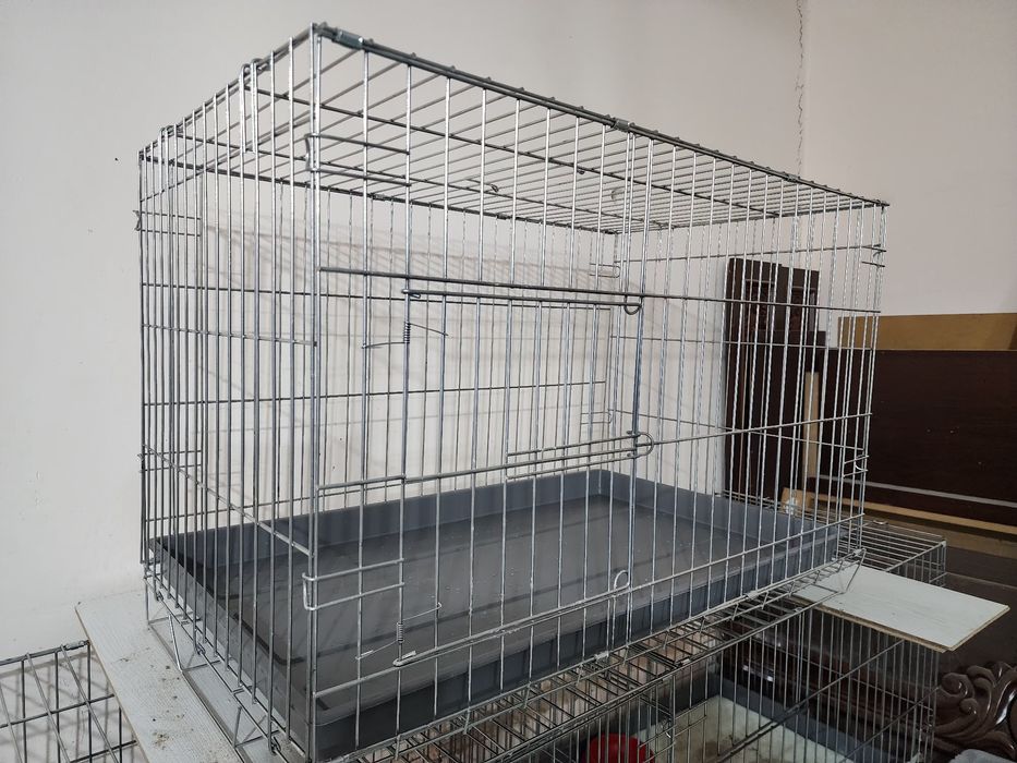 Егиладигон кафас