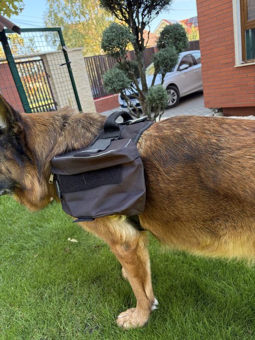 Ham caini K9 si set genti laterale