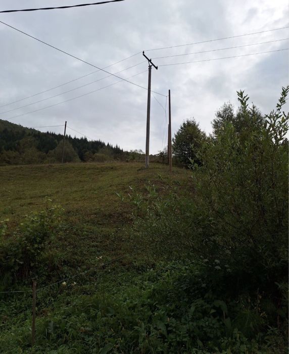 Vand teren intravilan, Valea Neagra, Bistra - Vedere 2