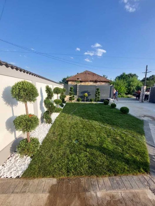 Gazon Natural pentru Curți Moderne și Vile Elegante