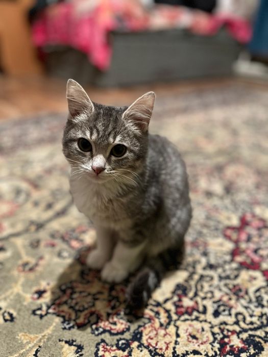 Каму  надо забирайте