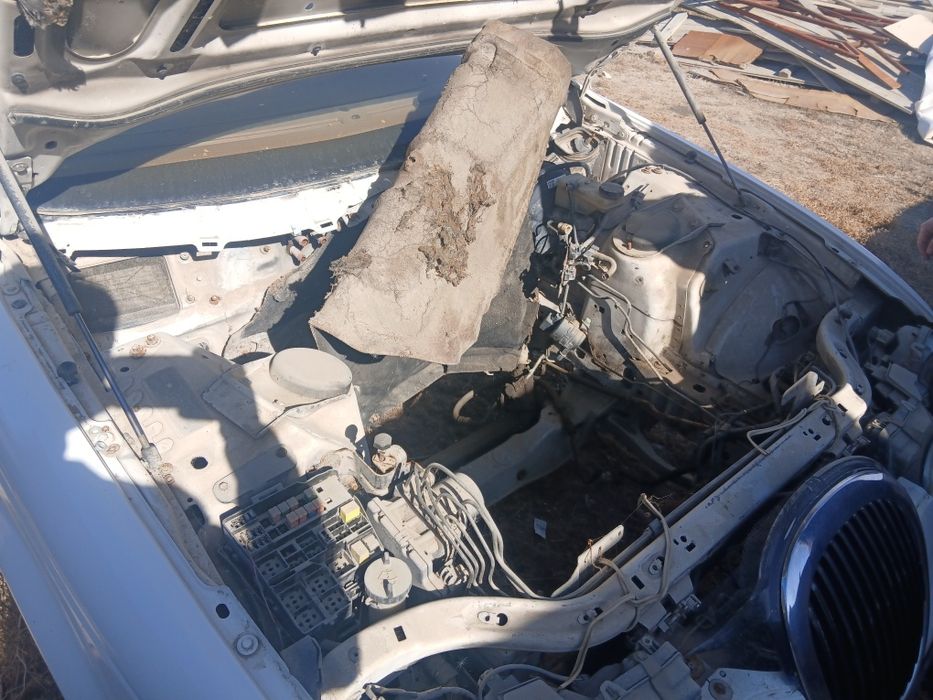 Ягуар аварини док нет