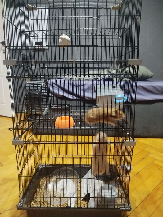 5 этажная клетка + комплект