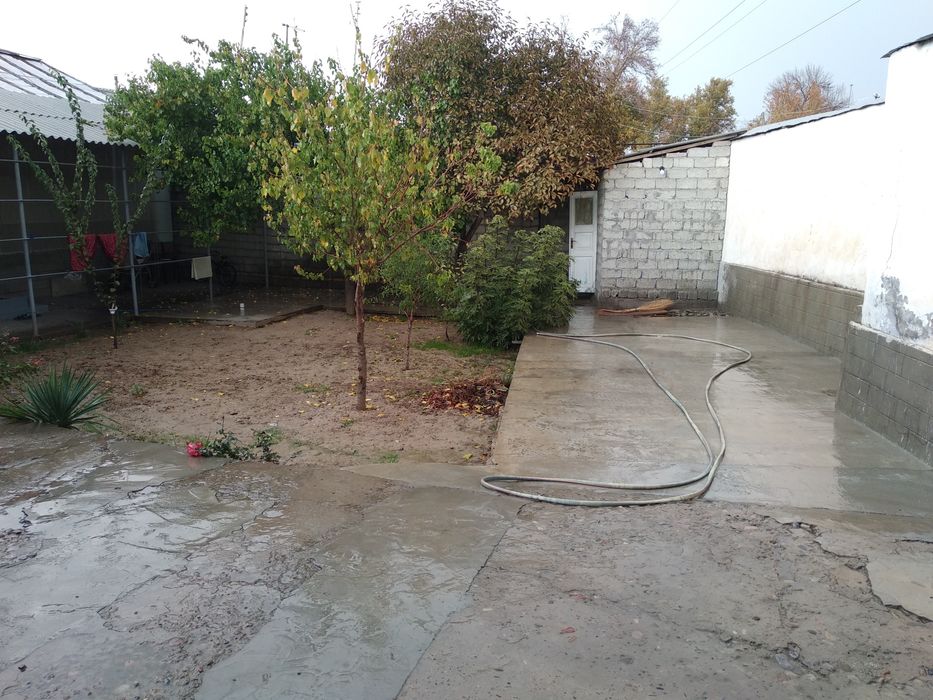 Срочна ховли сотилади