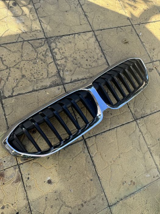 Бъбреци за бмв g20