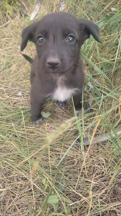 Звоночек в добрые ручки