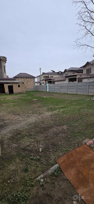 Дурмень цен.3сот.ер.
