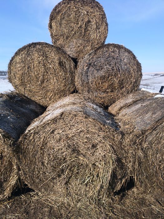 Baloți de fân și de paie