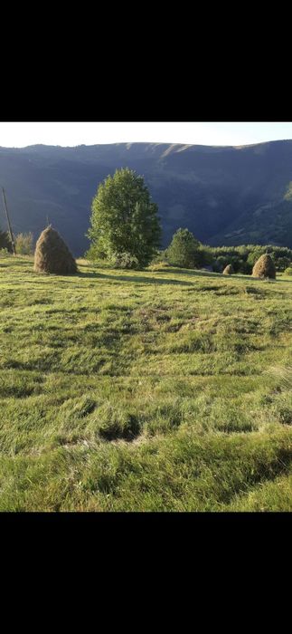 Vând teren intravilan/extravilan, Maguri Racatau.