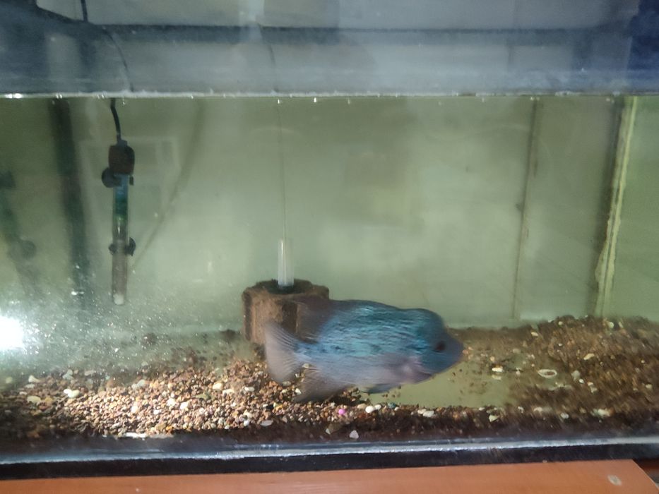 Продам аквариум 200 л с подставкой