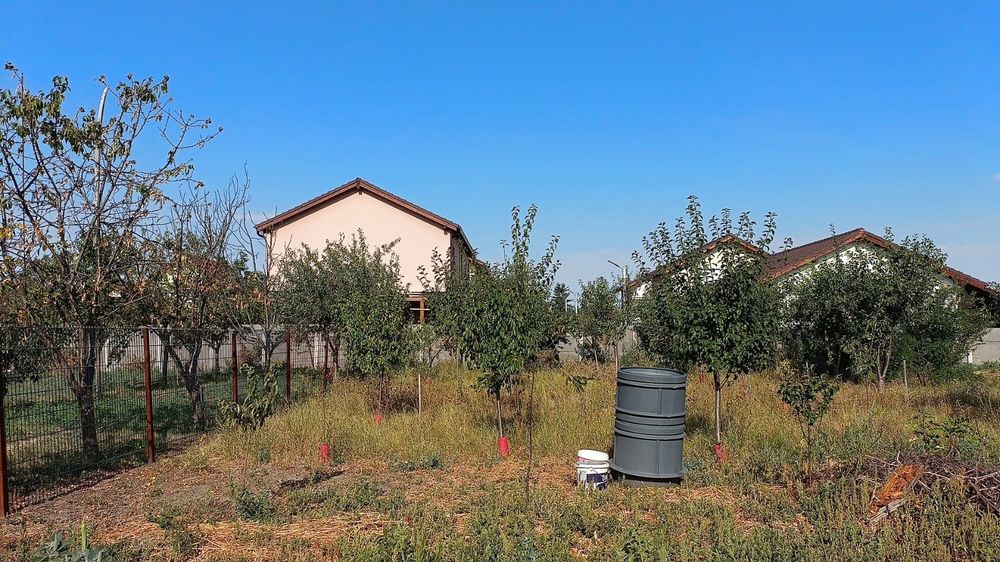 De vanzare casa in localitatea Covaci - Jud. Timis