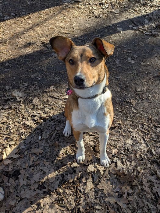 Търси своя човек