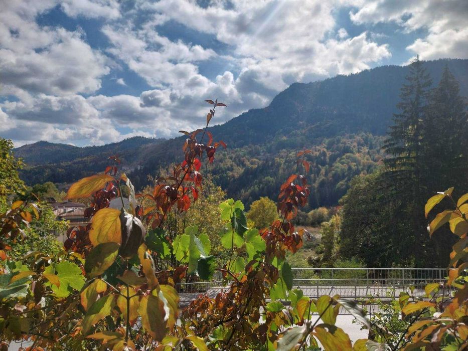 Продава се Къща в Смолян, Каптажа - 200 кв.м за 900 €/кв.м - Снимка #10