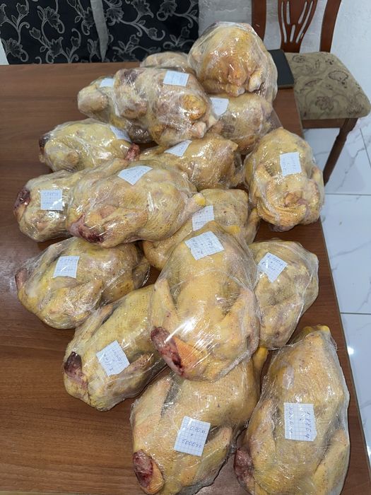 Бройлер  цыплята