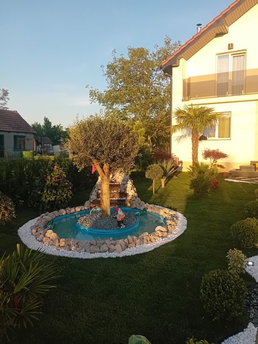 Plante irigatii gazon