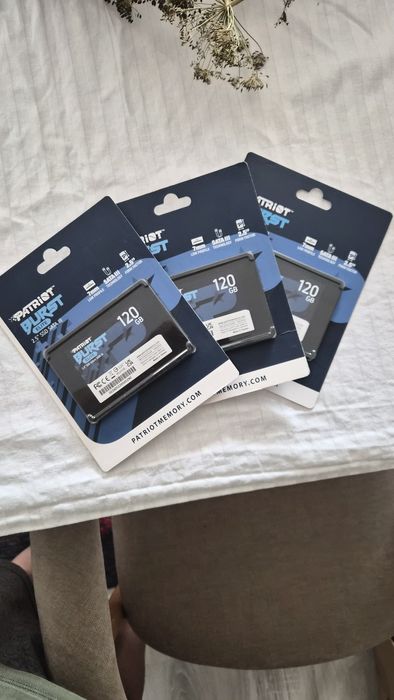 SSD Patriot Burist Elite 120 GB, sigilate