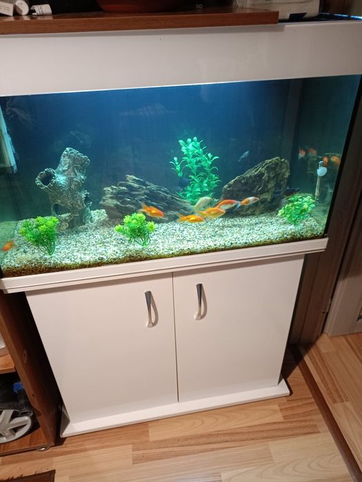Аквариум за рибки
