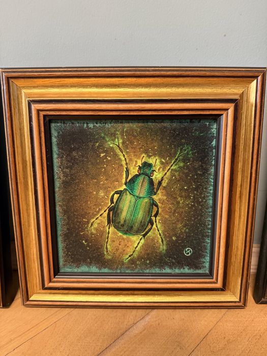 Картини с инсекти