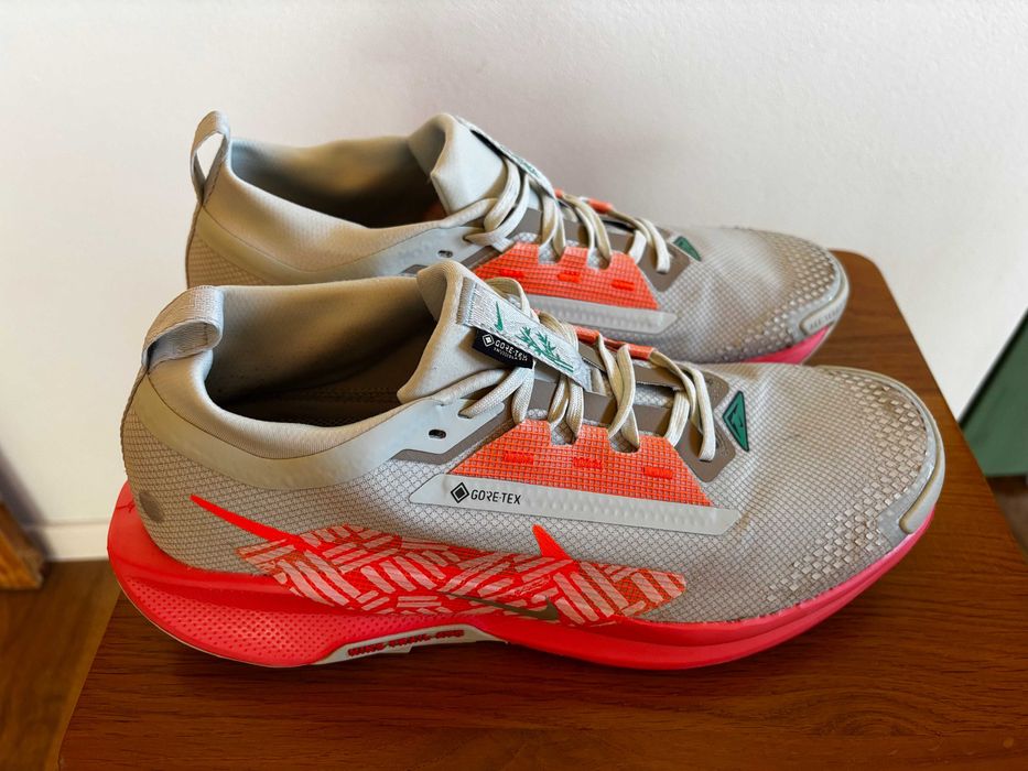 Nike Pegasus Trail Gore-Tex