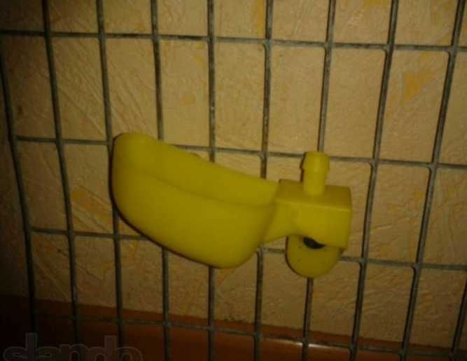 Поилки микрочашечные