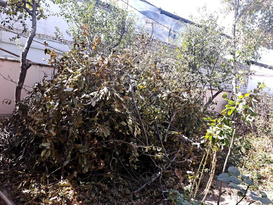 Srochna Утин сотилади яхши