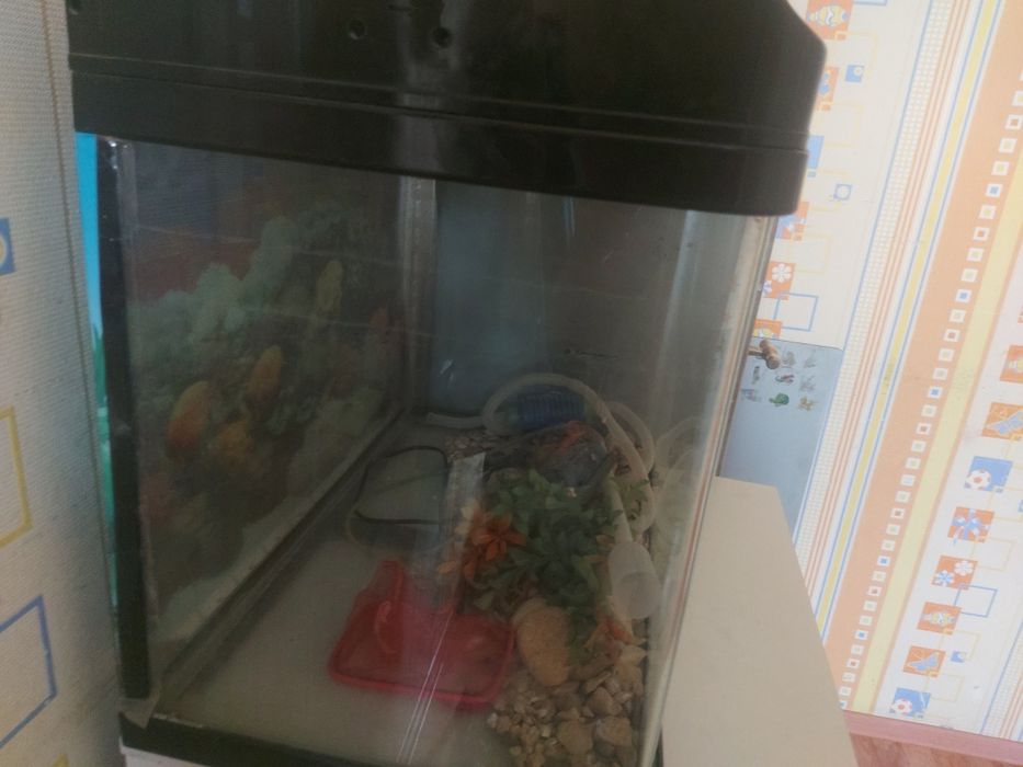 Аквариум- б/у 80литров