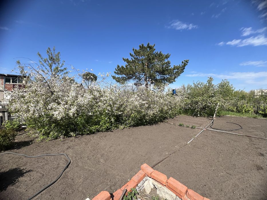 Продам или сдам в аренду дачу