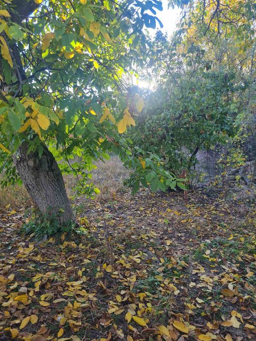 Продава се Къща в с. Слатина, Област Ловеч - 60 кв.м за 51 €/кв.м - Снимка #2