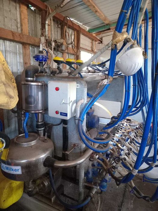 Sală de muls profesională 12 posturi – complet utilată