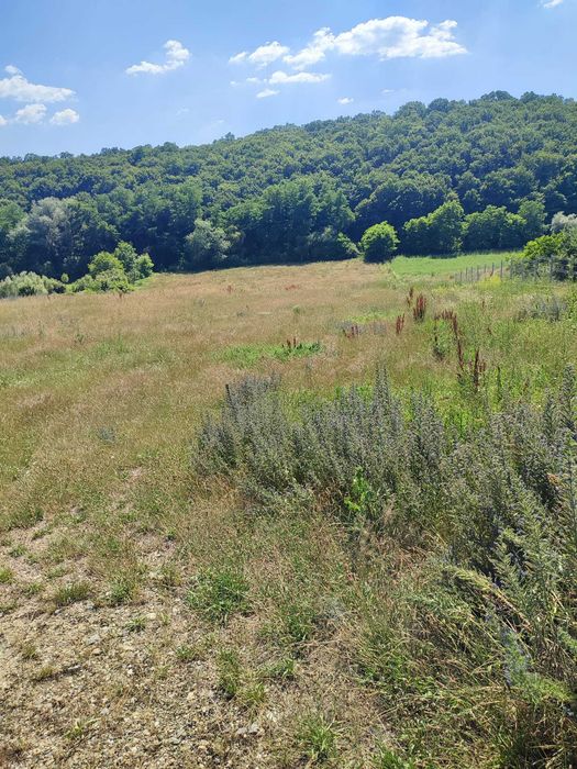 Teren de vânzare – 2.900 mp, zonă liniștită