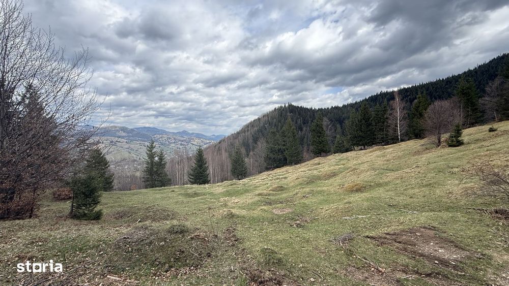 Teren izolat fără vecini, inconjurat de pădure, 1.02 ha