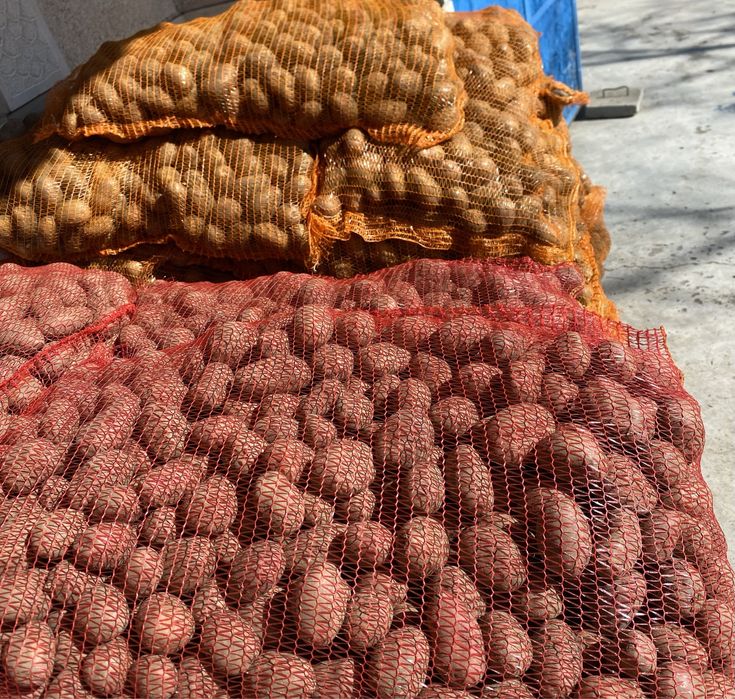 Vand cartofi samanta ,usturoi si ceapa uscata