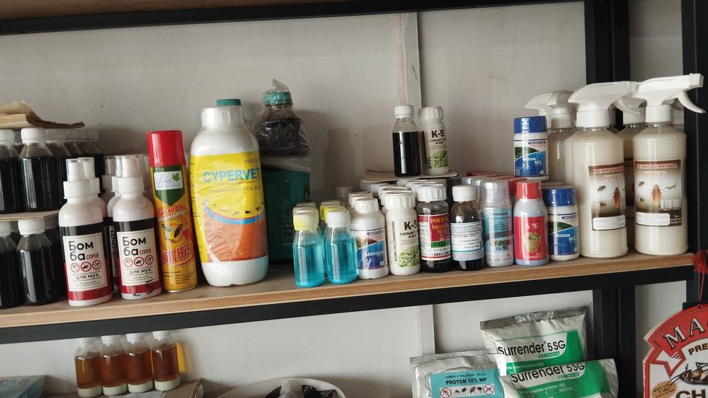 Agro dorilar gul daraxt ko'chat urug'lar